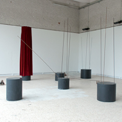 Carnis, 2012 Installation, dimensions variables, matériaux mixtes