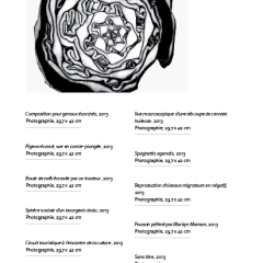 Choux rouge, 2013 Photographie, 29,7 x 42 cm 19 cartels (dimensions, date, nature de l’image, titre différents d’un cartel à l’autre)