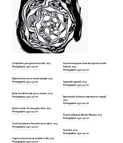 Choux rouge, 2013 Photographie, 29,7 x 42 cm 19 cartels (dimensions, date, nature de l’image, titre différents d’un cartel à l’autre)