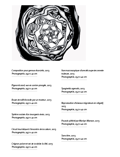 Choux rouge, 2013 Photographie, 29,7 x 42 cm 19 cartels (dimensions, date, nature de l’image, titre différents d’un cartel à l’autre)