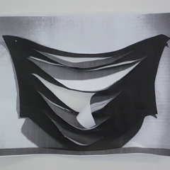 Sans titre, 2011 dimensions variables, impression noir et blanc sur papier