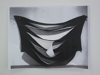 Sans titre, 2011 dimensions variables, impression noir et blanc sur papier