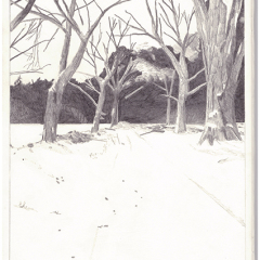 Sans titre, 2013 Crayon sur papier, format A4