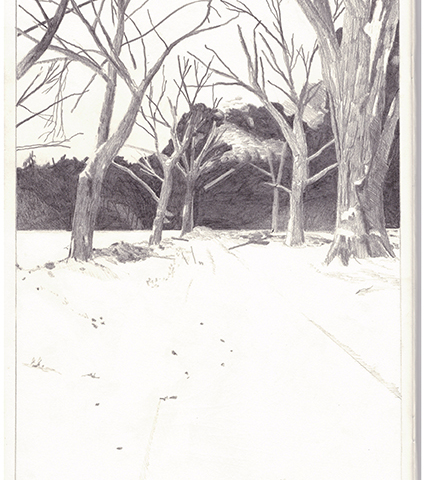 Sans titre, 2013 Crayon sur papier, format A4