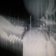 France 2007, 2007, 19’, 16 mm, 1h 33, noir et blanc, muet