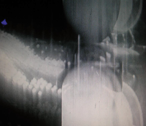 France 2007, 2007, 19’, 16 mm, 1h 33, noir et blanc, muet