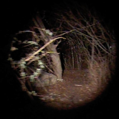 PourSuite, installation vidéo, échelle 1, durée : 4 min, son : J. Matelot