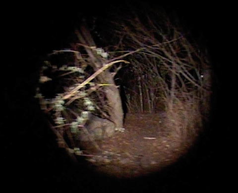 PourSuite, installation vidéo, échelle 1, durée : 4 min, son : J. Matelot