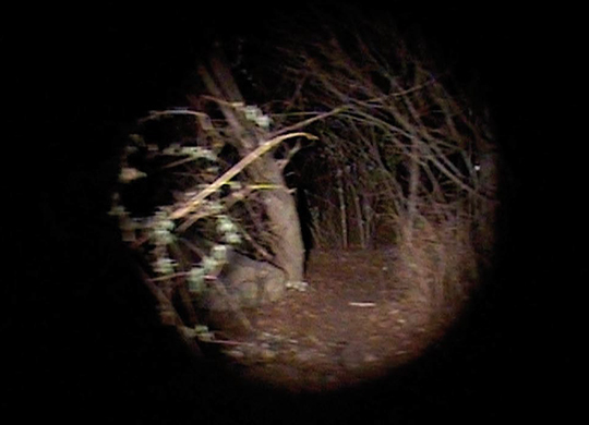 PourSuite, installation vidéo, échelle 1, durée : 4 min, son : J. Matelot