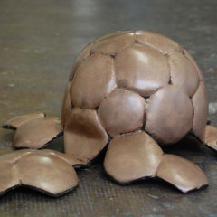 Tortue - 2010 bronze - série de 8 tirages