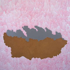 Ascension décue, glycérophtalique et pigment sur toile, 200 x 222 cm, 2007