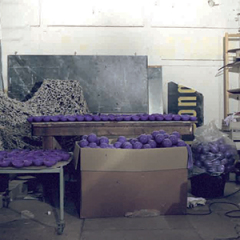 Sans titre, série « s de luxe», impression digitale, 100 x 80 cm, 2007