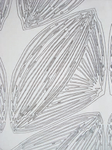 Histoire naturelle (détail)