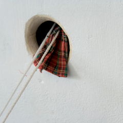 Kilt pour octodons / 2007 / 3 octodons femelles, un kilt écossais, une cage, une roue, un mur, un trou,