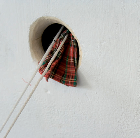 Kilt pour octodons / 2007 / 3 octodons femelles, un kilt écossais, une cage, une roue, un mur, un trou,