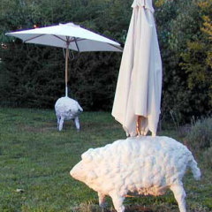 Parasol 2003 Béton armé et parasol, 150 x 210 cm Vue partielle de l'installation Photographie L.D.