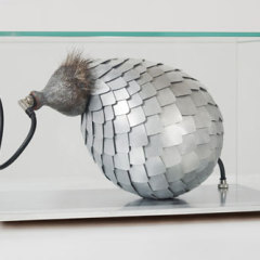 Appeau des cuirassés, 2010 Verre, résine peinte, aluminium, acier galvanisé, poils, câblages et connexions. 35 x 22 x 20 cm Collection privée Photographie Jean-Christophe Lett