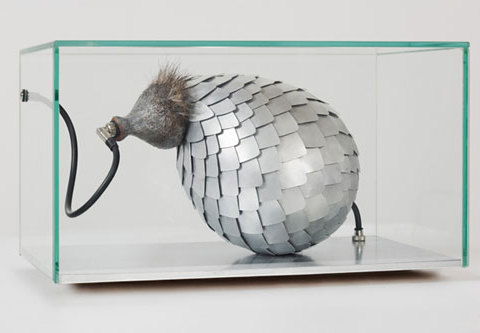 Appeau des cuirassés, 2010 Verre, résine peinte, aluminium, acier galvanisé, poils, câblages et connexions. 35 x 22 x 20 cm Collection privée Photographie Jean-Christophe Lett