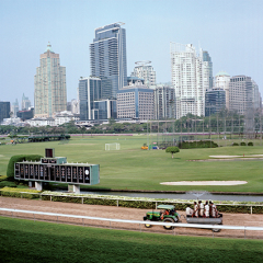 Sans titre, été 2010 Extrait de La parcelle ensemble de 6 photographies, 20 x 30 cm