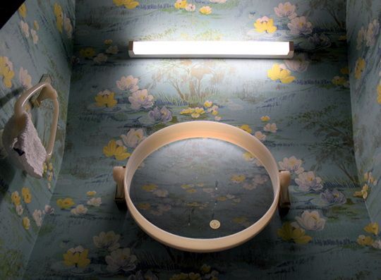 Nénuphars, 2009 Caisson lumineux, châssis métallique, 70 x 100 cm