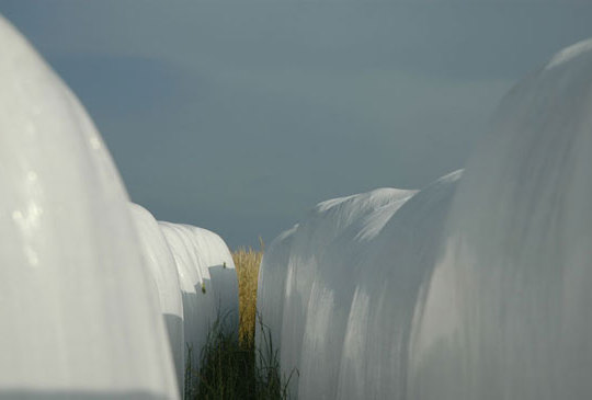 de la série Saisons en Sud-Aveyron - 2006 paru dans le livre Saisons en Sud-Aveyron, Photographies : Amandine Johannet, Textes : Jacques Vaizy, Editeur : Imprimerie du Progrès, 2006