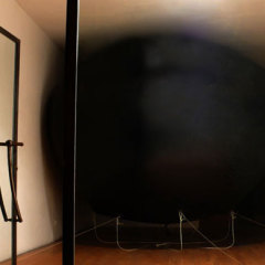 Loose fish (poisson perdu) 2008 Ballon, hélium - Vue de l’exposition personnelle, galerie du tableau, 2008 