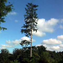 Pose - 2002 vidéoperformance 30’