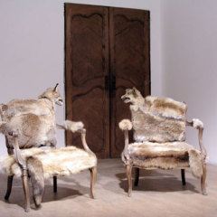 Le complot, 2005 Fauteuils de conversation Louis XV, renards naturalisés fourrures, 250 x 90 cm
