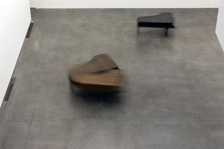 Céleste Boursier-Mougenot