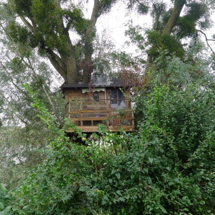 Espèce d'espace : la cabane, conférence de Gilles Tiberghien