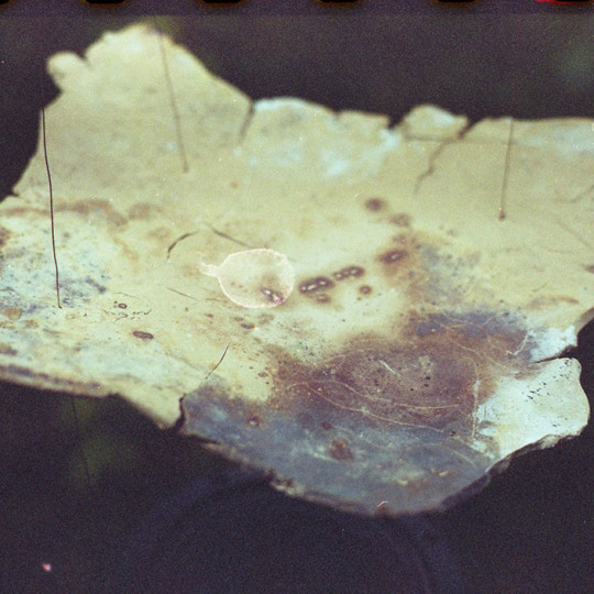 Avant les mots, Todèl