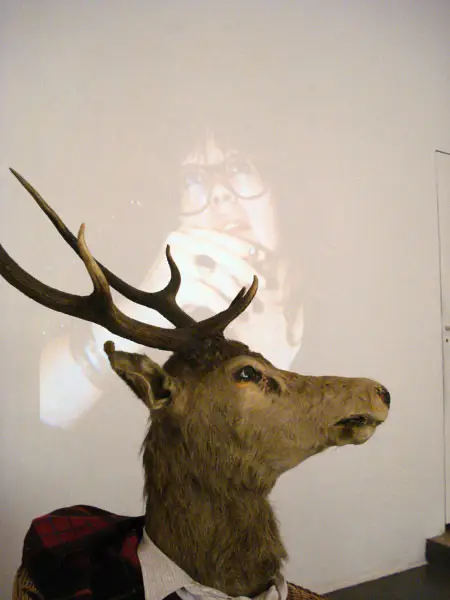 La chambre du cerf, 2010 Détail, vidéo, cerf naturalisé, verre, whisky